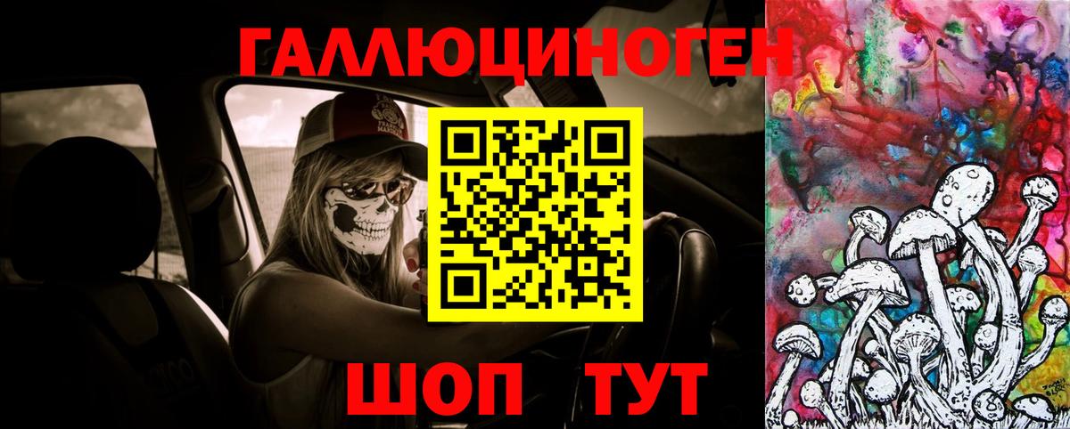 Галлюциногенные грибы GOLDEN TEACHER  Вход с VPN  Рубцовск  Галлюциногенные грибы Cubensis 