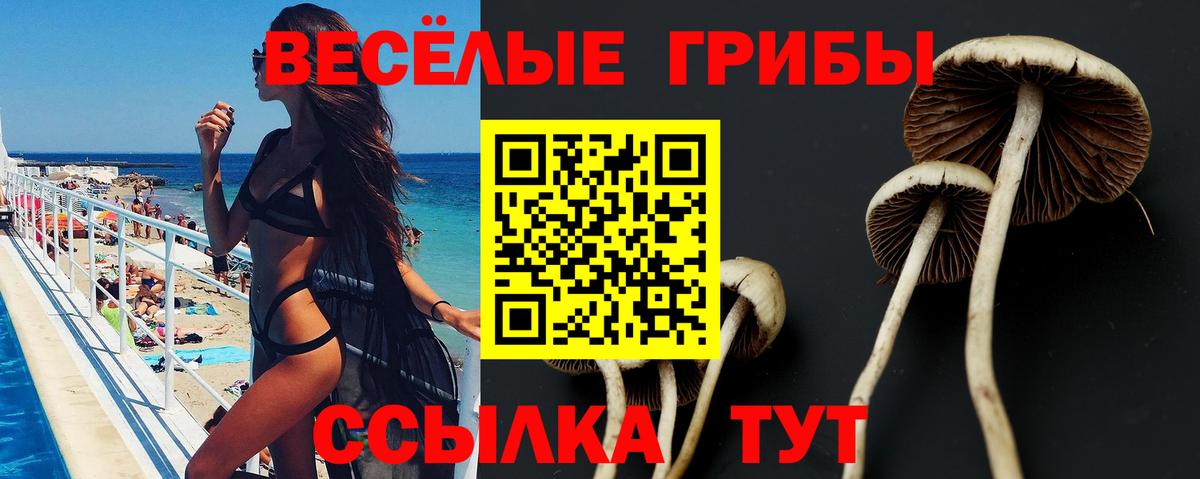Псилоцибиновые грибы MAGIC MUSHROOMS Рубцовск